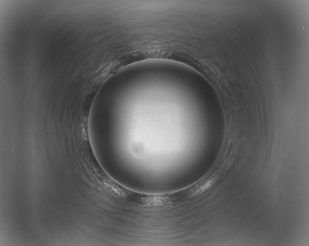 X0000056340432200508291320