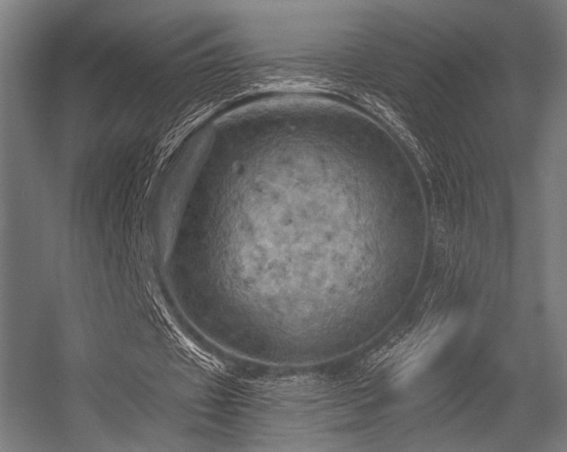 X0000056340433200508291319