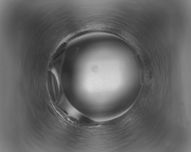 X0000056340434200508291319