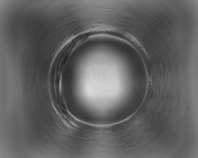 X0000056340436200508291320