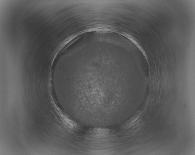 X0000056340437200508291320