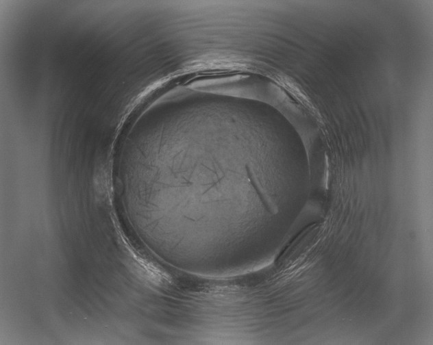 X0000056340438200508291320