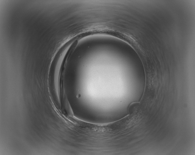 X0000056340439200508291320