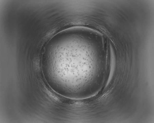 X0000056340441200508291320