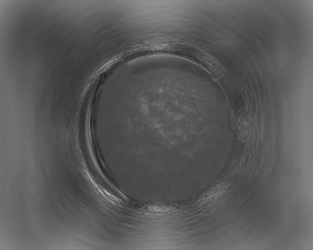 X0000056340442200508291320