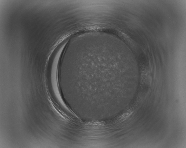 X0000056340443200508291320