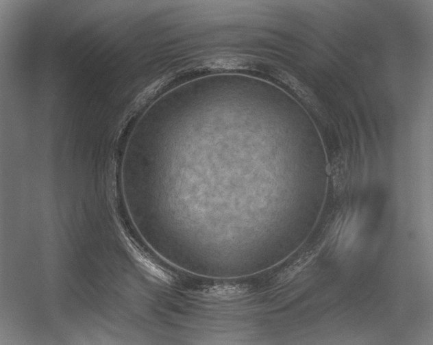 X0000056340445200508291320