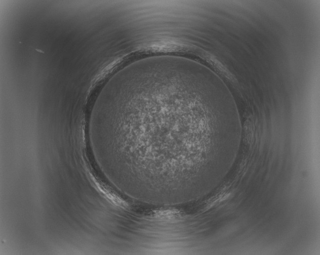 X0000056340446200508291320