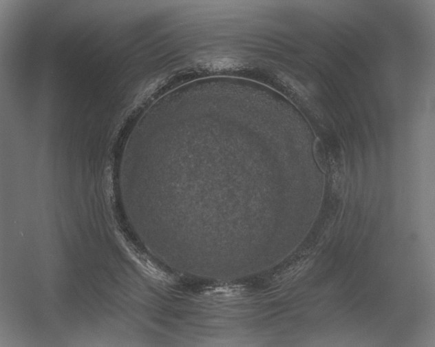 X0000056340447200508291320