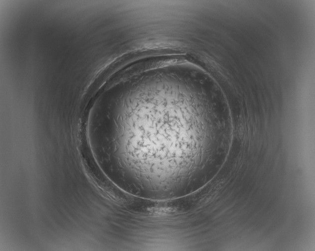 X0000056340448200508291320