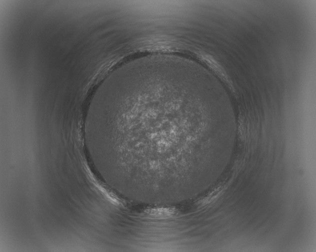 X0000056340449200508291320