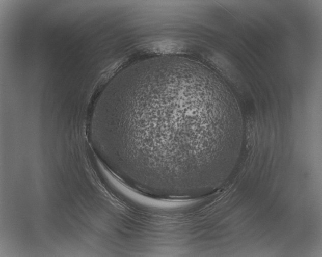 X0000056340453200508291320