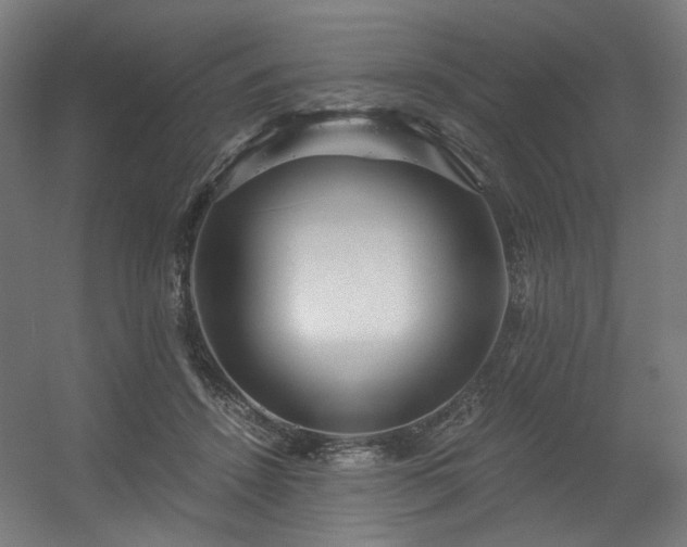 X0000056340456200508291320