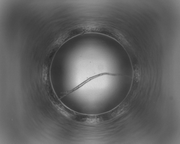 X0000056340458200508291320