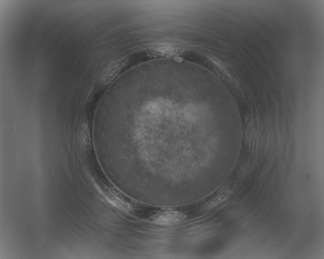 X0000056340459200508291320