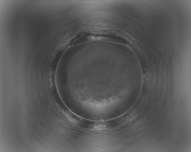 X0000056340462200508291320