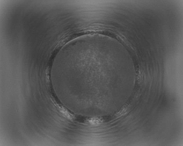 X0000056340466200508291320