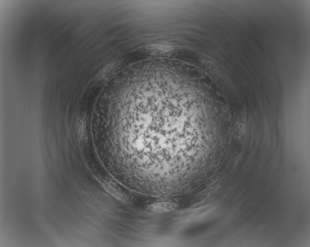 X0000056340468200508291320