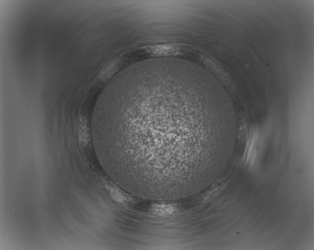 X0000056340469200508291320