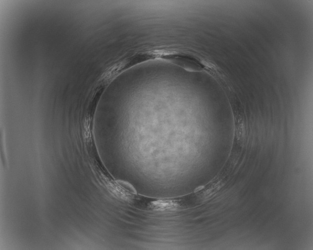 X0000056340477200508291320