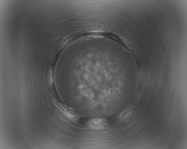 X0000056340479200508291320