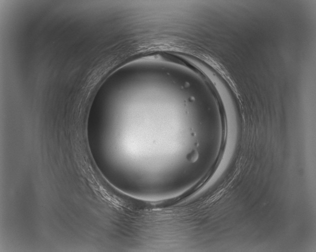 X0000056340481200508291319