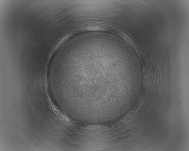 X0000056340482200508291319