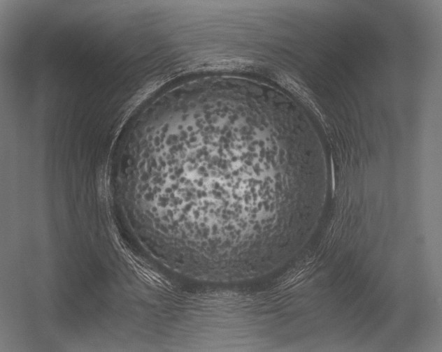 X0000056340483200508291319