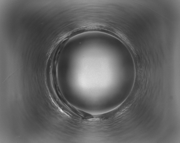 X0000056340485200508291319