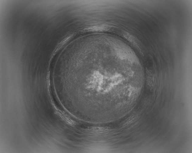 X0000056340486200508291319