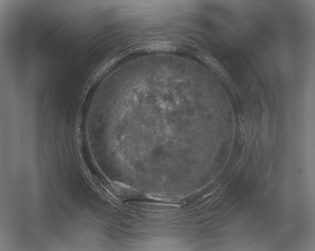 X0000056340487200508291319