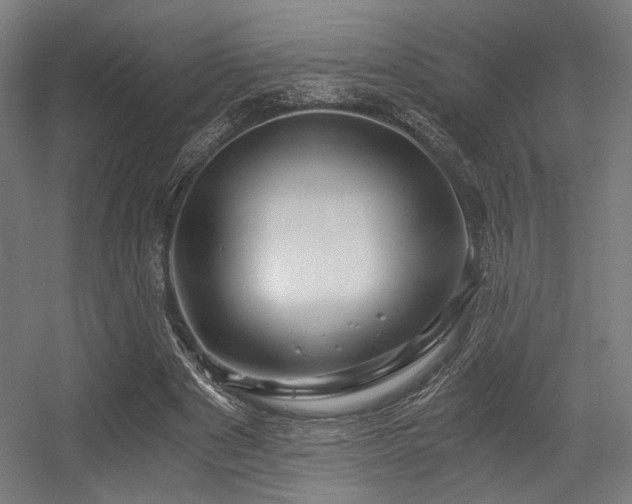 X0000056340489200508291319