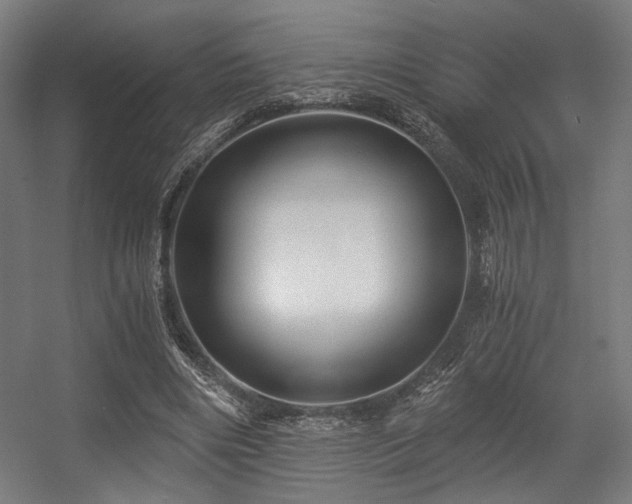 X0000056340490200508291319