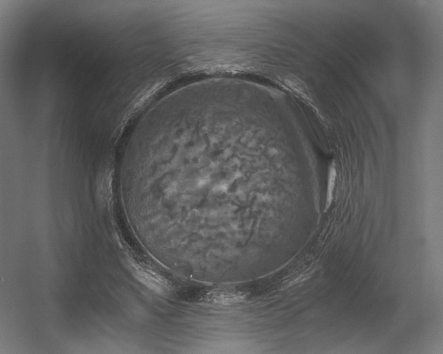 X0000056340491200508291319