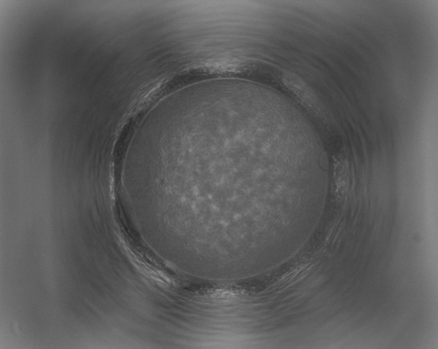 X0000056340494200508291319