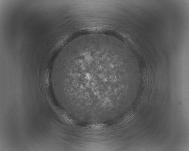 X0000056340495200508291319