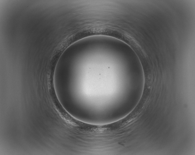 X0000056340497200508291319