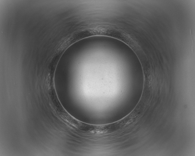 X0000056340498200508291319