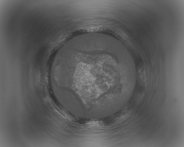 X0000056340499200508291319