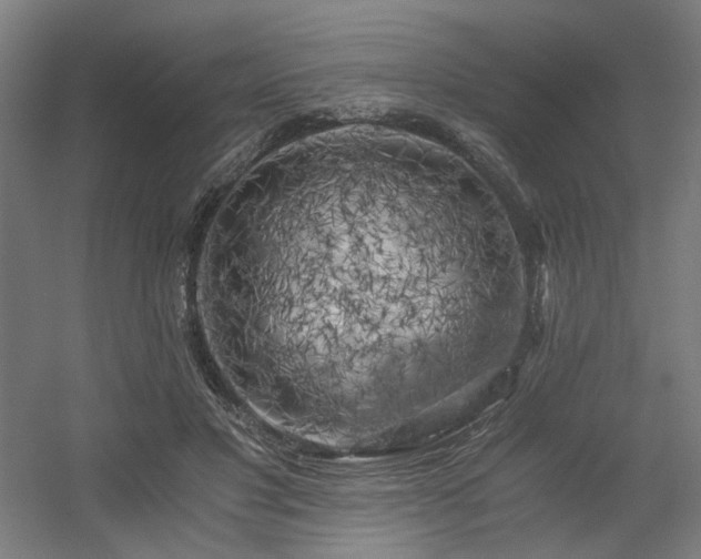X0000056340501200508291319