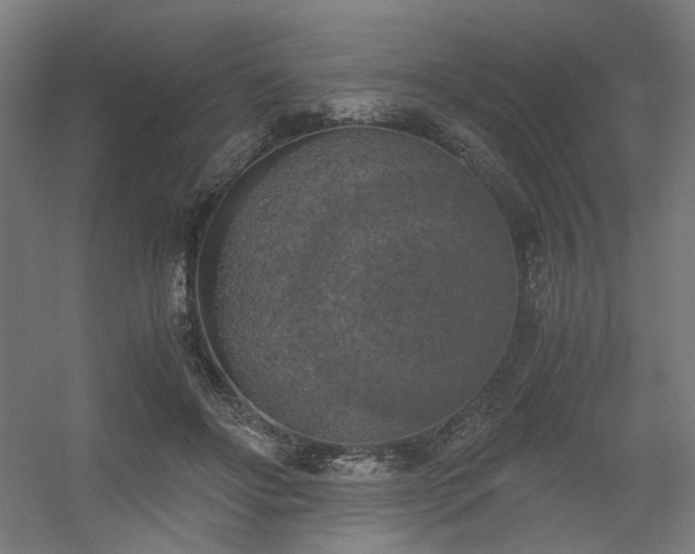 X0000056340502200508291319