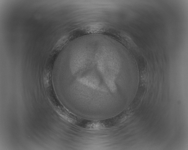 X0000056340503200508291319