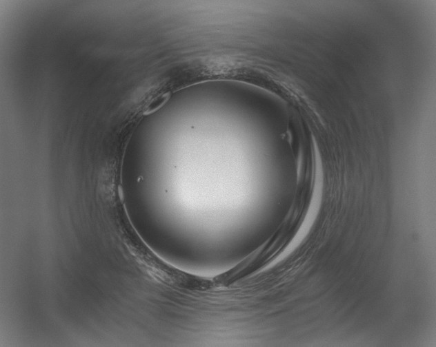 X0000056340505200508291319