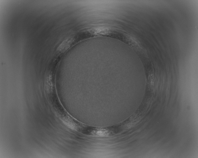 X0000056340506200508291319