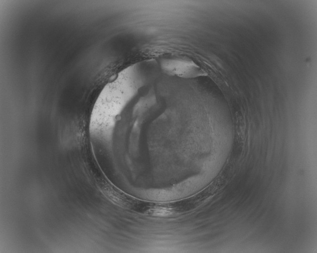 X0000056340507200508291319