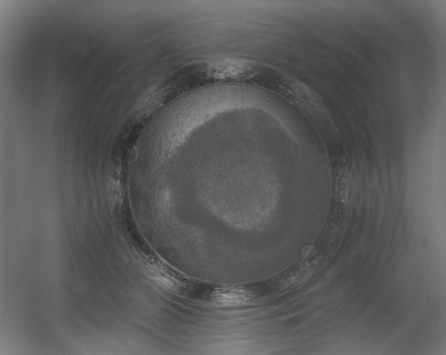 X0000056340510200508291319