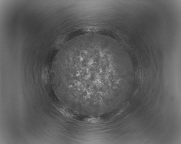 X0000056340511200508291319