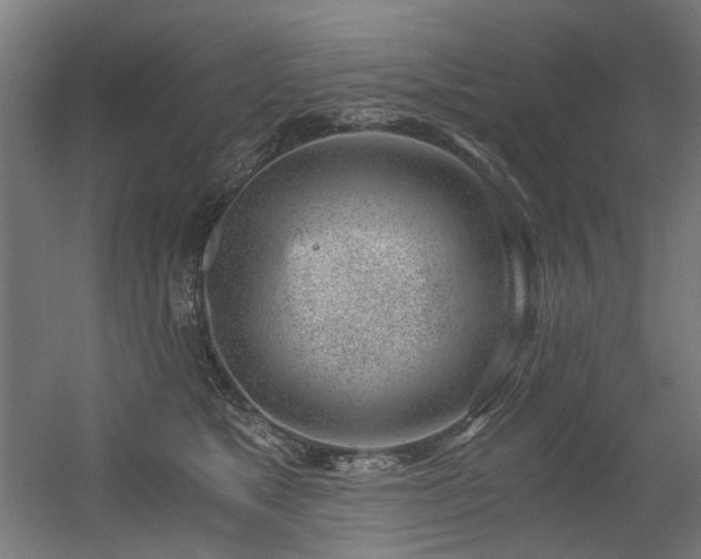 X0000056340517200508291319