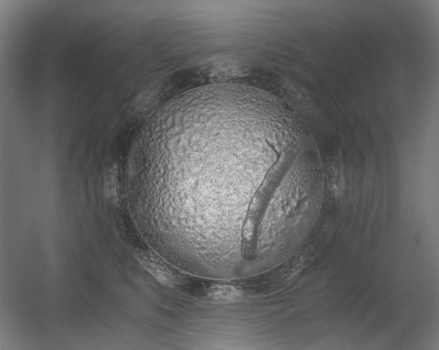 X0000056340519200508291319