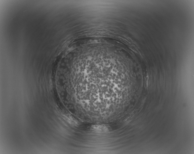X0000056340520200508291319